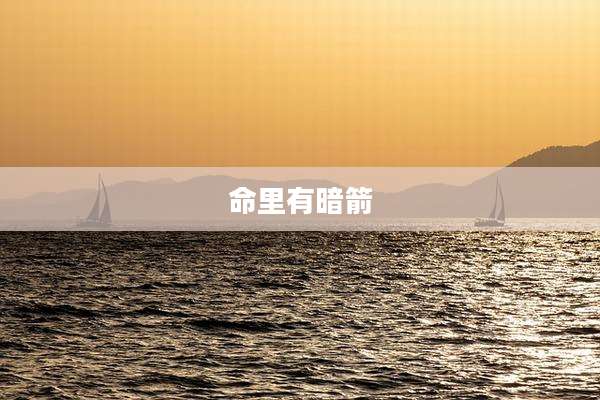 命里有暗箭