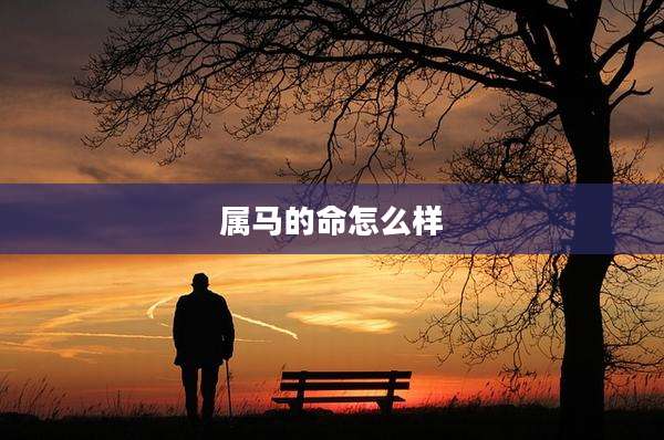 属马的命怎么样