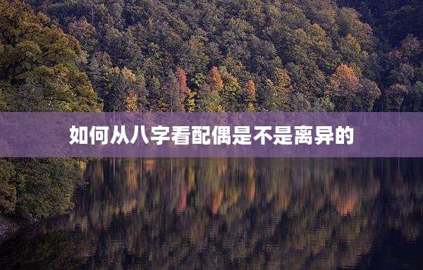 如何从八字看配偶是不是离异的