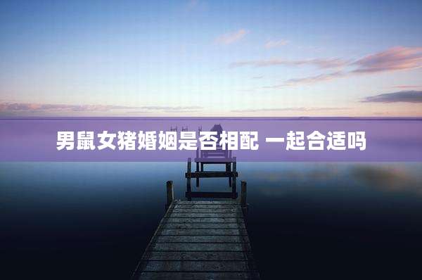 男鼠女猪婚姻是否相配 一起合适吗