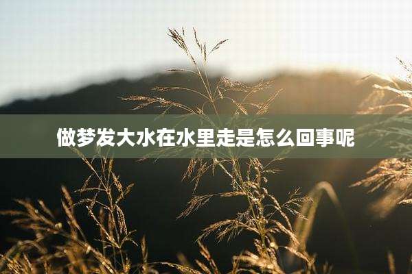 做梦发大水在水里走是怎么回事呢