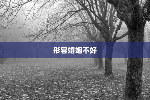 形容婚姻不好