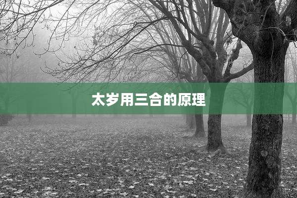太岁用三合的原理