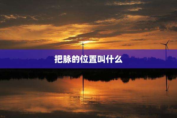把脉的位置叫什么