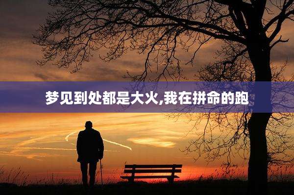 梦见到处都是大火,我在拼命的跑