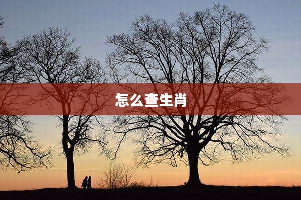 怎么查生肖