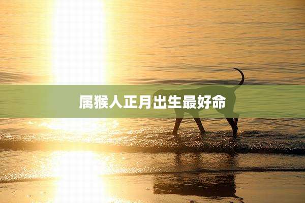 属猴人正月出生最好命