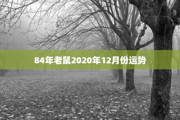 84年老鼠2020年12月份运势