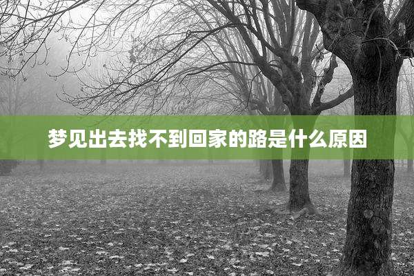 梦见出去找不到回家的路是什么原因