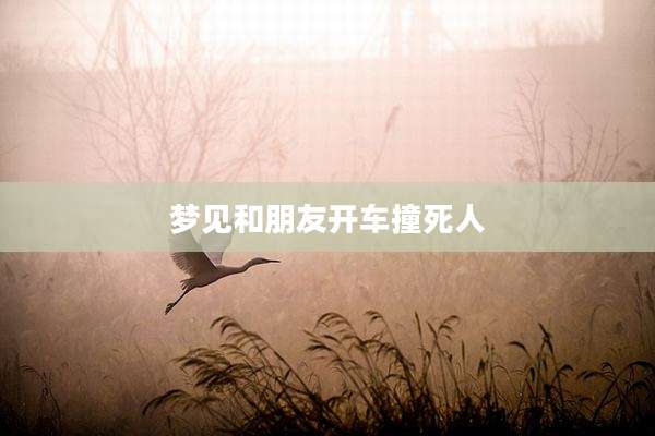 梦见和朋友开车撞死人