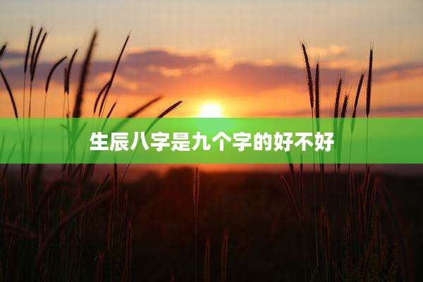生辰八字是九个字的好不好