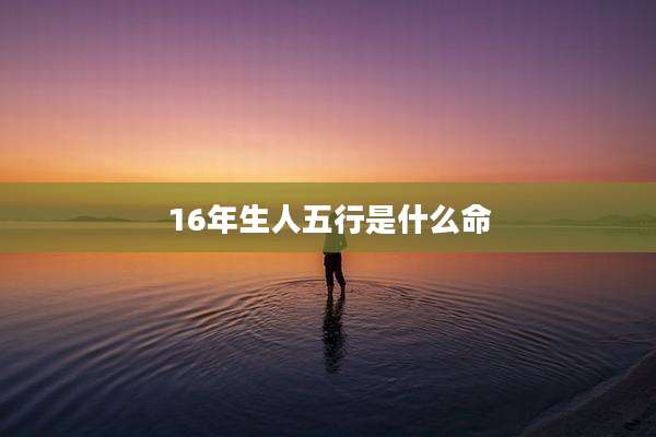 16年生人五行是什么命