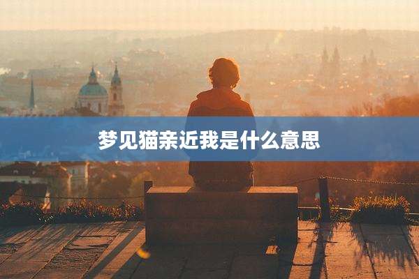 梦见猫亲近我是什么意思