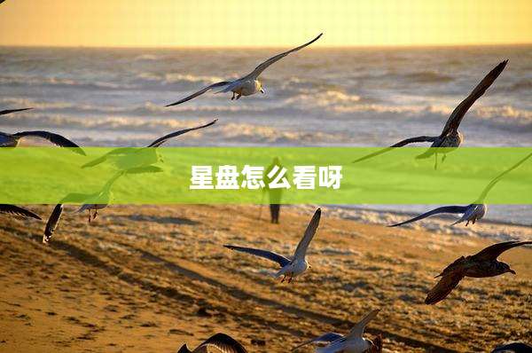 星盘怎么看呀