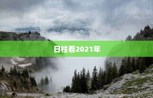 日柱看2021年