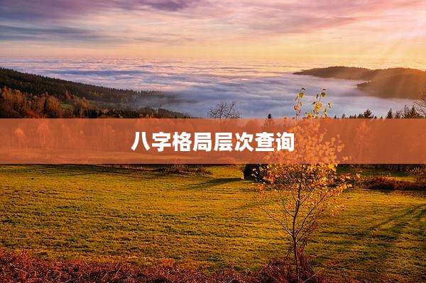八字格局层次查询
