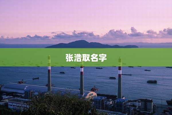 张浩取名字