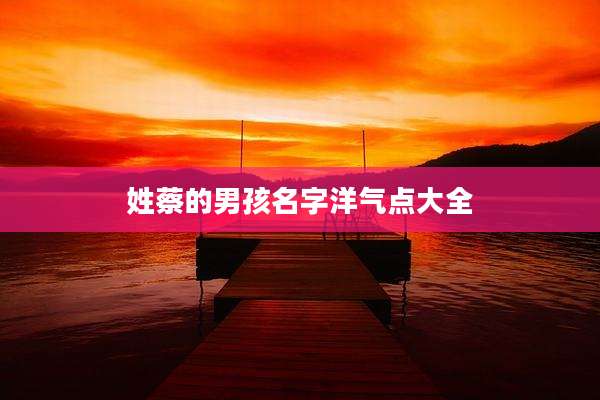 姓蔡的男孩名字洋气点大全