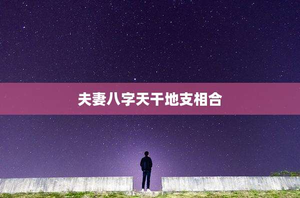 夫妻八字天干地支相合