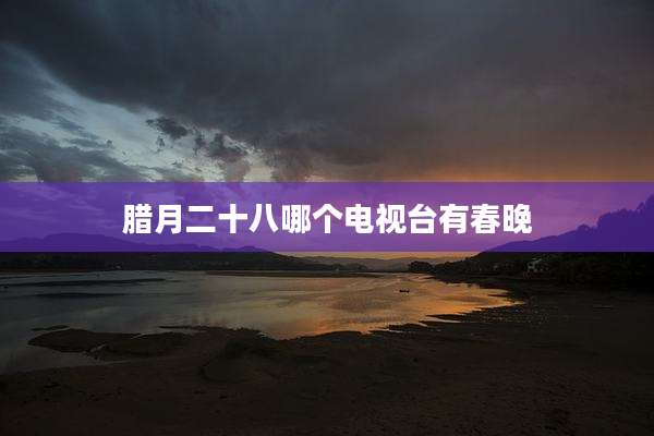 腊月二十八哪个电视台有春晚