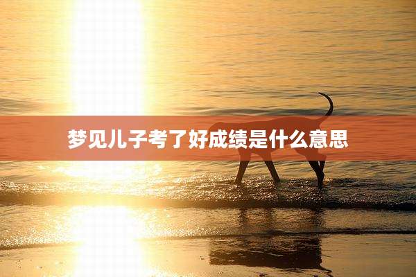 梦见儿子考了好成绩是什么意思