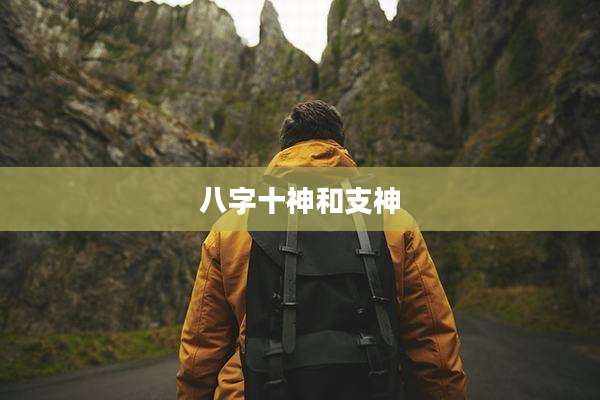 八字十神和支神