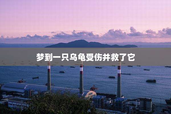 梦到一只乌龟受伤并救了它