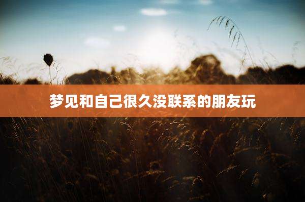 梦见和自己很久没联系的朋友玩