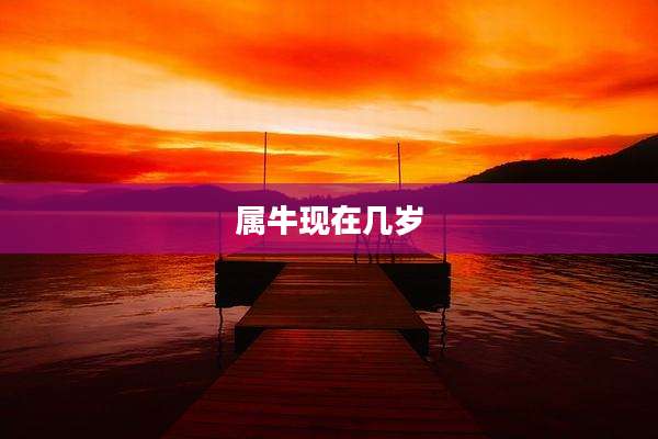 属牛现在几岁