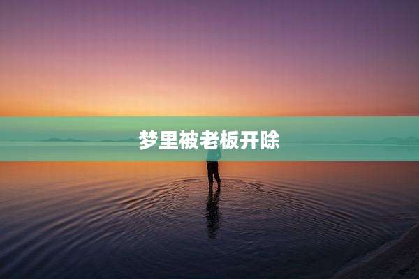 梦里被老板开除