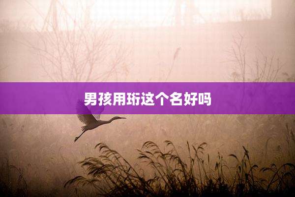 男孩用珩这个名好吗