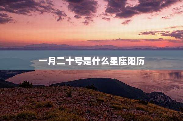 一月二十号是什么星座阳历
