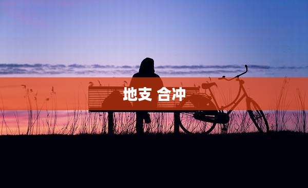 地支 合冲