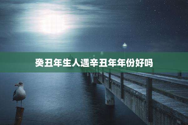 癸丑年生人遇辛丑年年份好吗