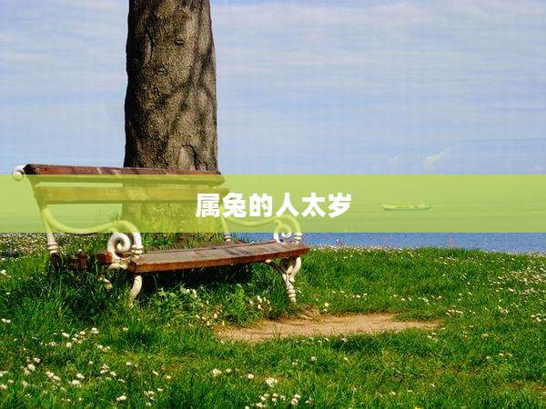 属兔的人太岁