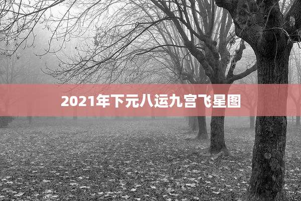 2021年下元八运九宫飞星图
