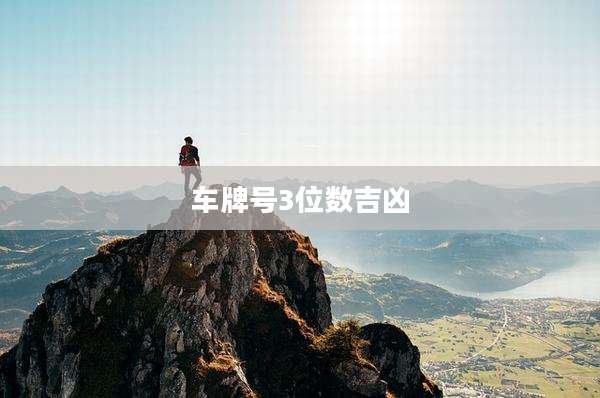车牌号3位数吉凶
