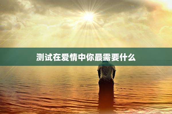 测试在爱情中你最需要什么