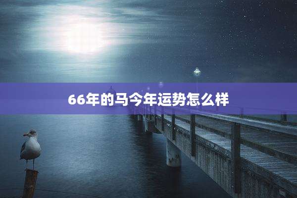66年的马今年运势怎么样