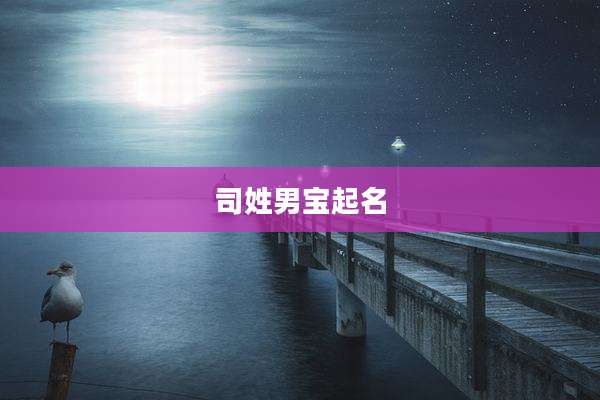 司姓男宝起名