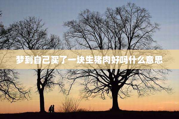 梦到自己买了一块生猪肉好吗什么意思