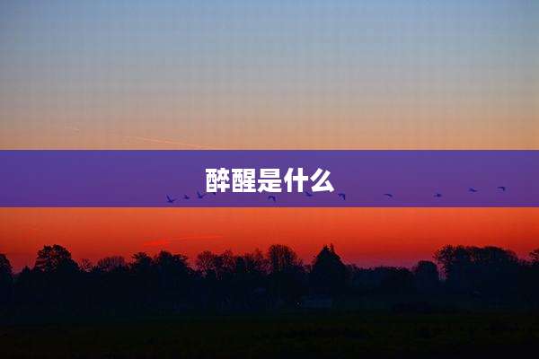醉醒是什么