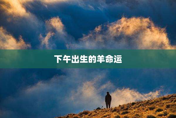 下午出生的羊命运
