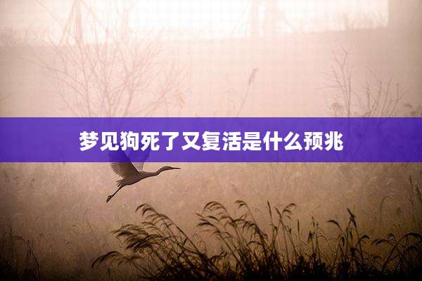 梦见狗死了又复活是什么预兆