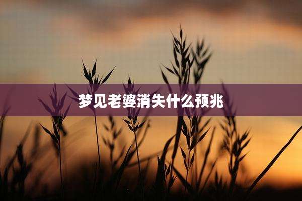 梦见老婆消失什么预兆