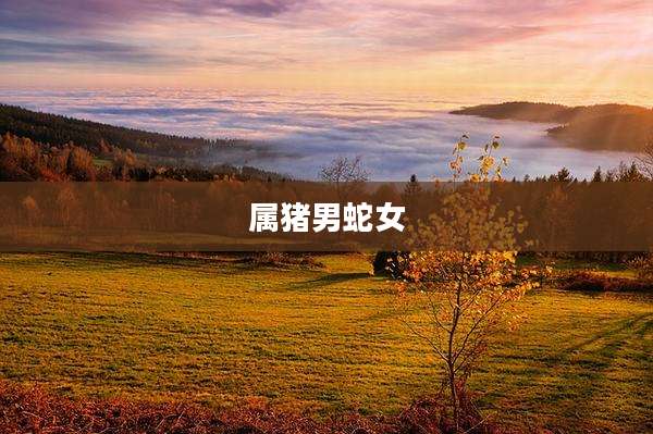 属猪男蛇女