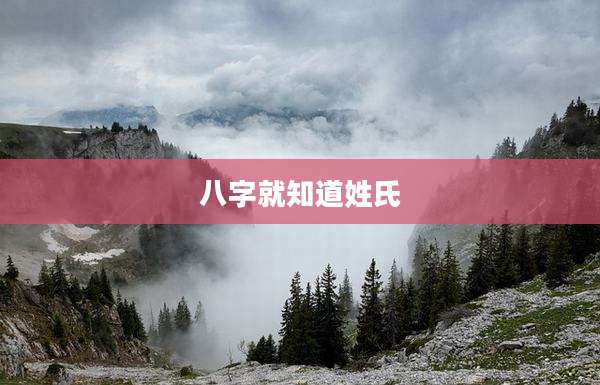 八字就知道姓氏