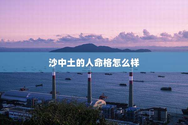 沙中土的人命格怎么样