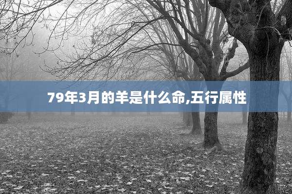 79年3月的羊是什么命,五行属性