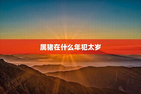 属猪在什么年犯太岁